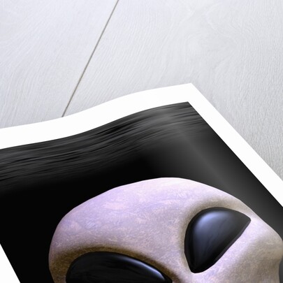 Face of an Extraterrestrial Alien by Anonymous