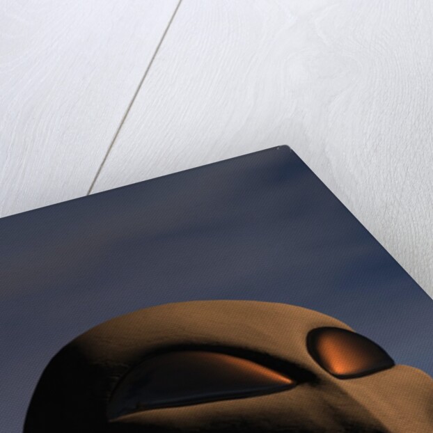 Face of an Extraterrestrial Alien by Anonymous