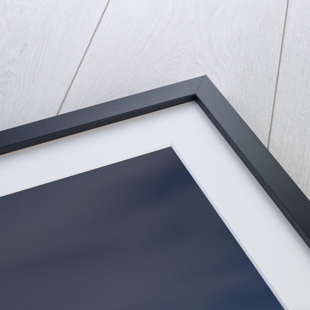 Face of an Extraterrestrial Alien by Anonymous