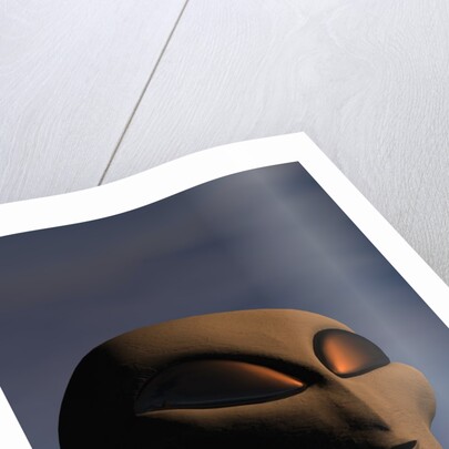 Face of an Extraterrestrial Alien by Anonymous