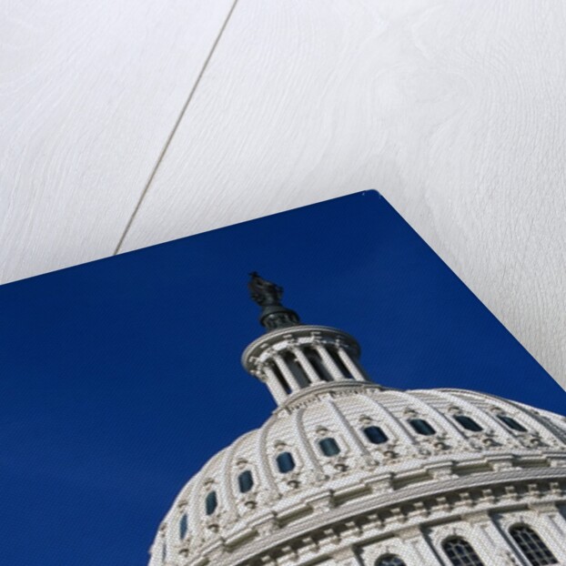 The Rotunda by Anonymous