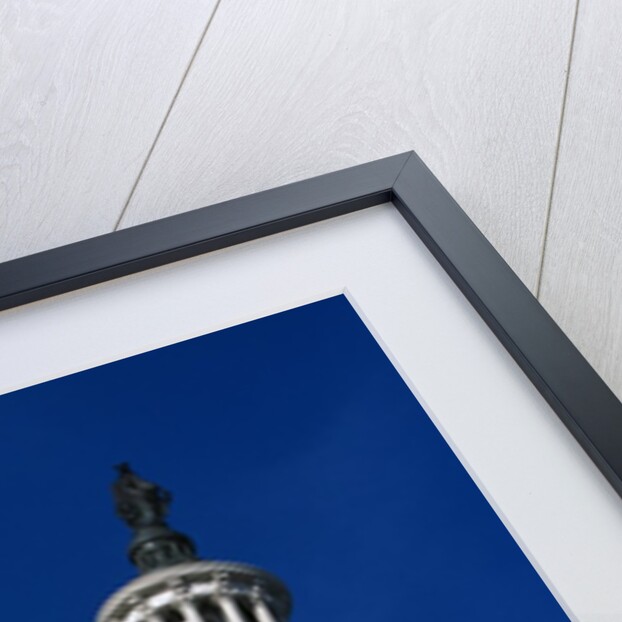 The Rotunda by Anonymous