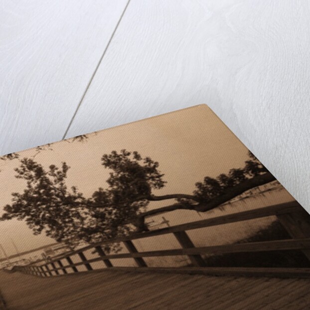 Bridge Leading to Pier by Anonymous