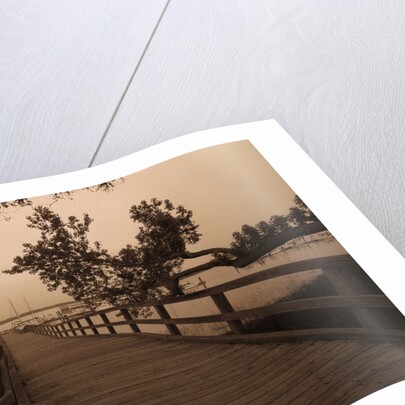 Bridge Leading to Pier by Anonymous