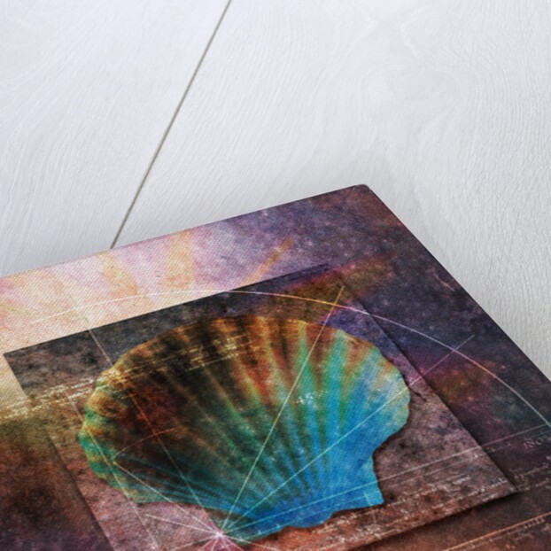 Colorful Clam Shell and Geometry by Anonymous