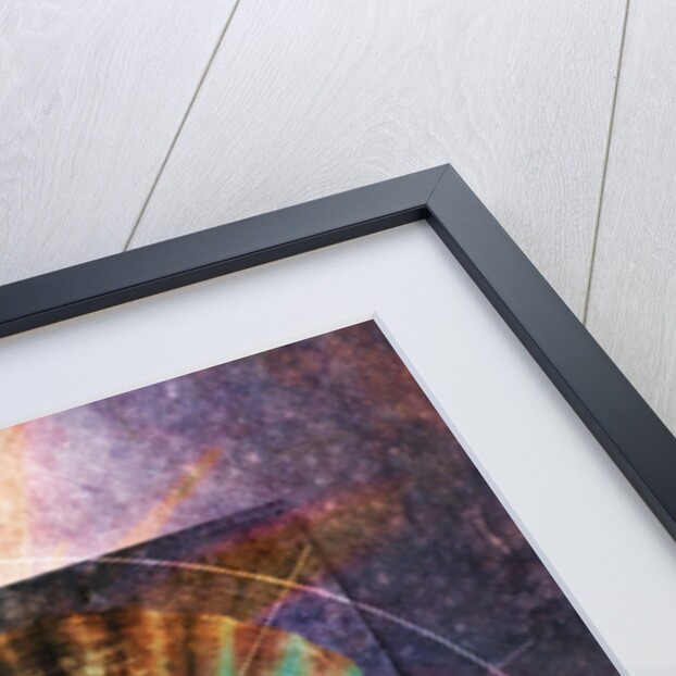 Colorful Clam Shell and Geometry by Anonymous