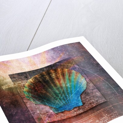 Colorful Clam Shell and Geometry by Anonymous
