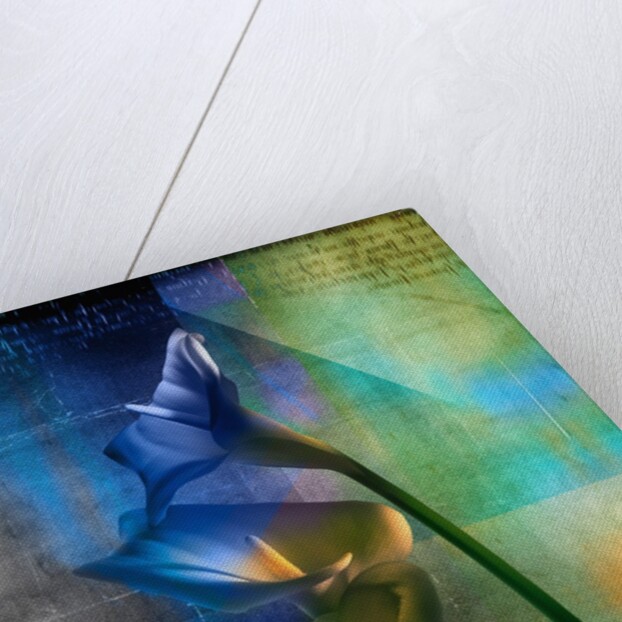 Calla Lilies and Colorful Patterns by Anonymous