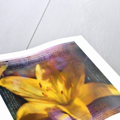 Yellow Lily and Text by Anonymous