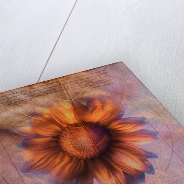 Sunflower and Text by Anonymous