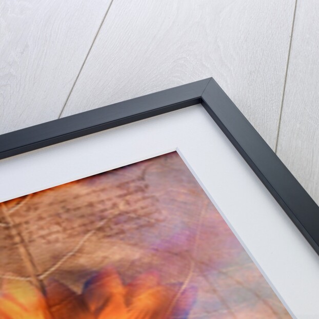 Sunflower and Text by Anonymous