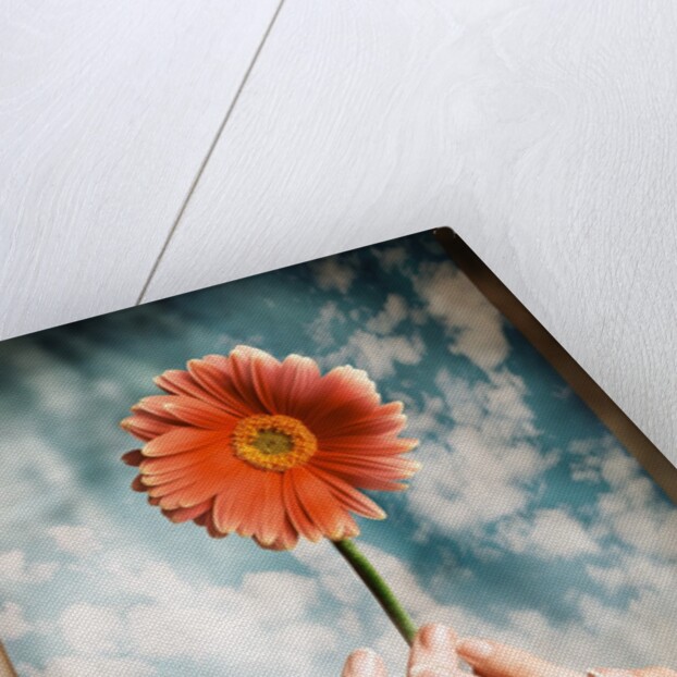 Hands Holding a Gerbera Daisy by Anonymous