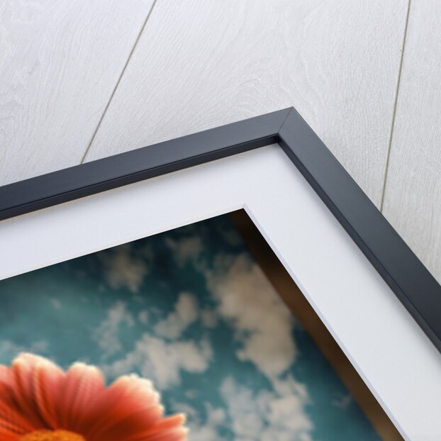 Hands Holding a Gerbera Daisy by Anonymous