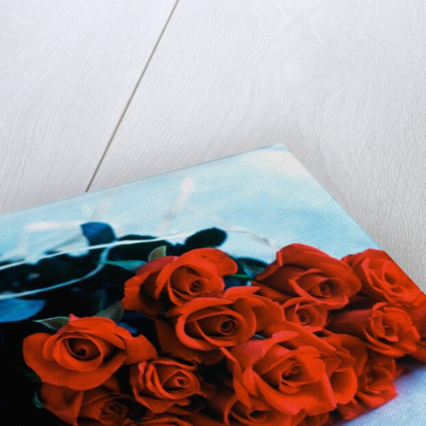 Bouquet of Roses by Anonymous