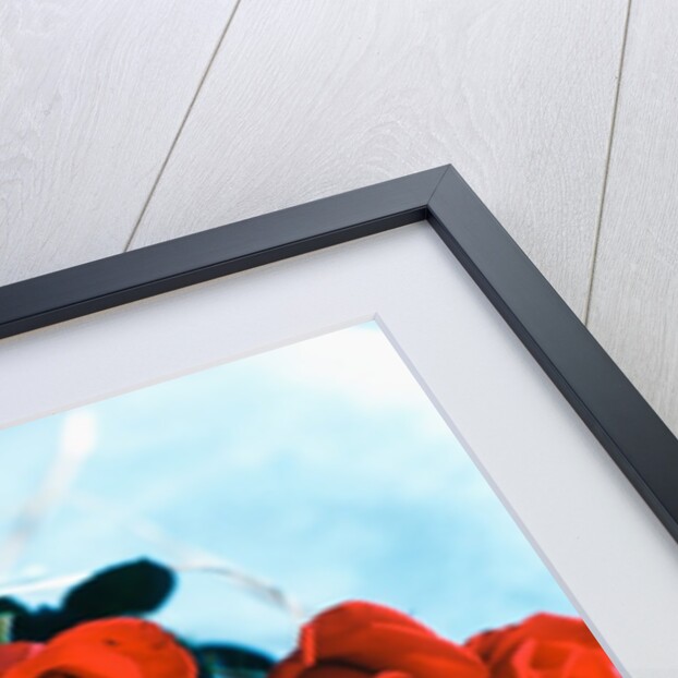 Bouquet of Roses by Anonymous