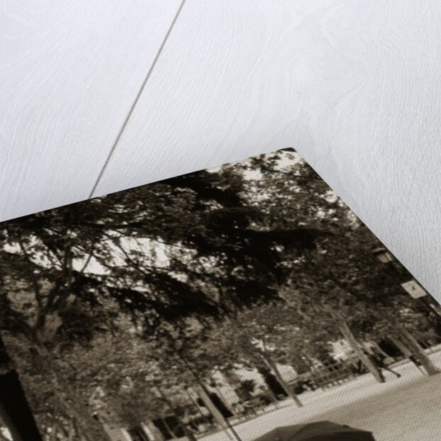 Person Under Umbrella at Madrid Park by Anonymous