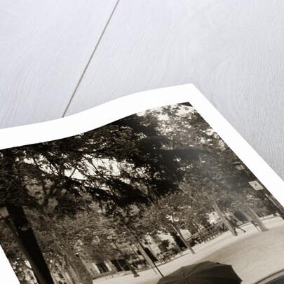 Person Under Umbrella at Madrid Park by Anonymous