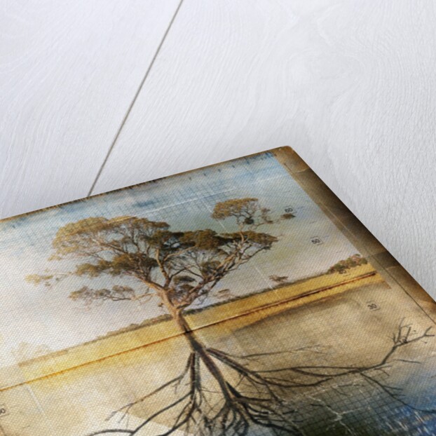 Graph of Tree and Roots by Anonymous