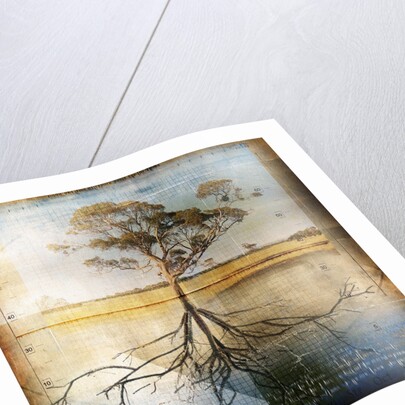 Graph of Tree and Roots by Anonymous