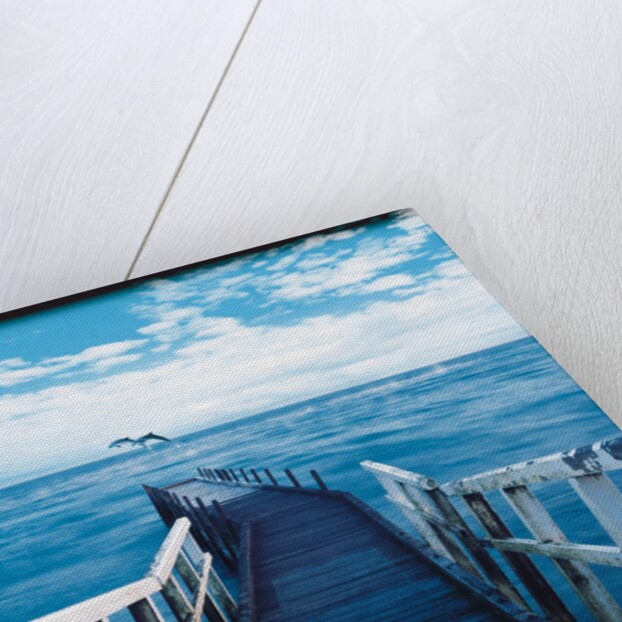 Pier and Dolphins by Anonymous