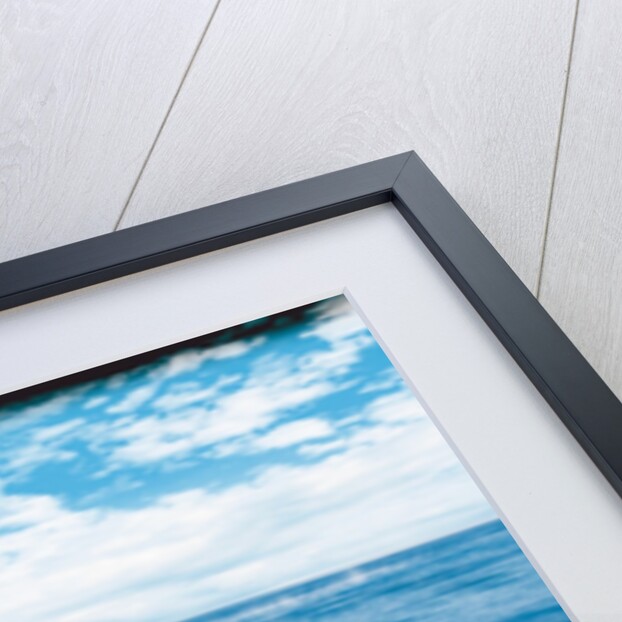 Pier and Dolphins by Anonymous