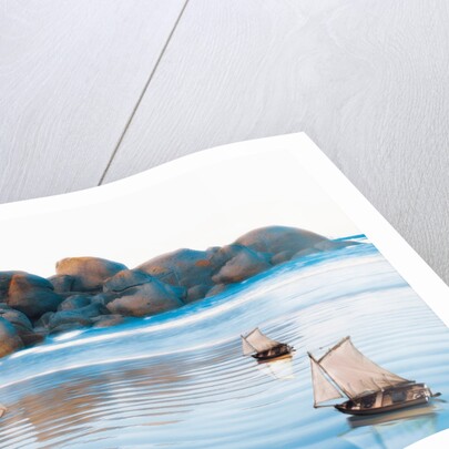 Toy Boats on Rocky Beach by Anonymous