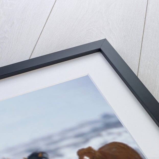 Wild Horses in Snow by Anonymous