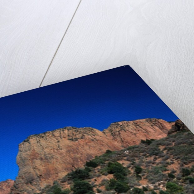 Canyons of Zion National Park by Anonymous