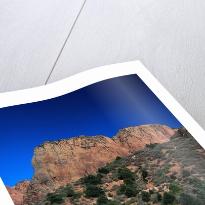 Canyons of Zion National Park by Anonymous