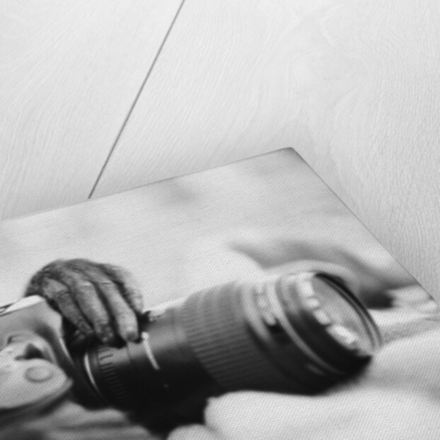 Monkey Holding Camera by Anonymous