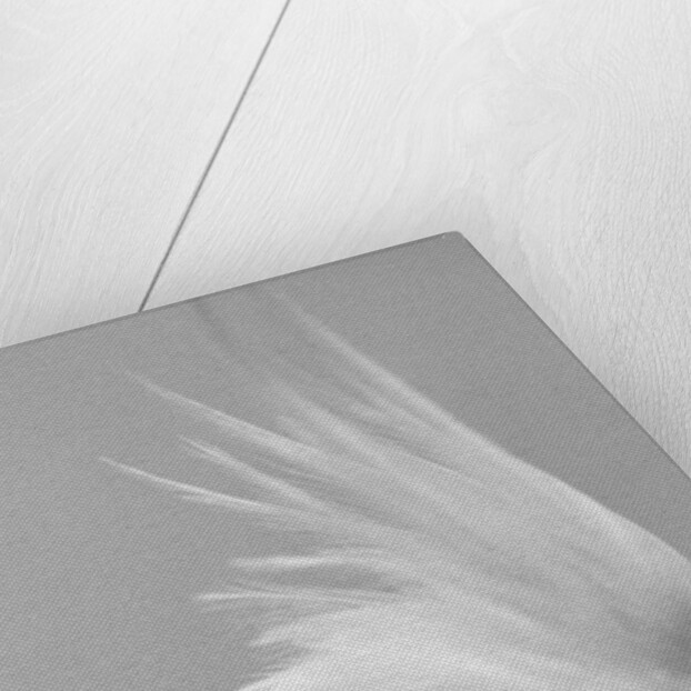 Side of Parrot's Heads by Anonymous
