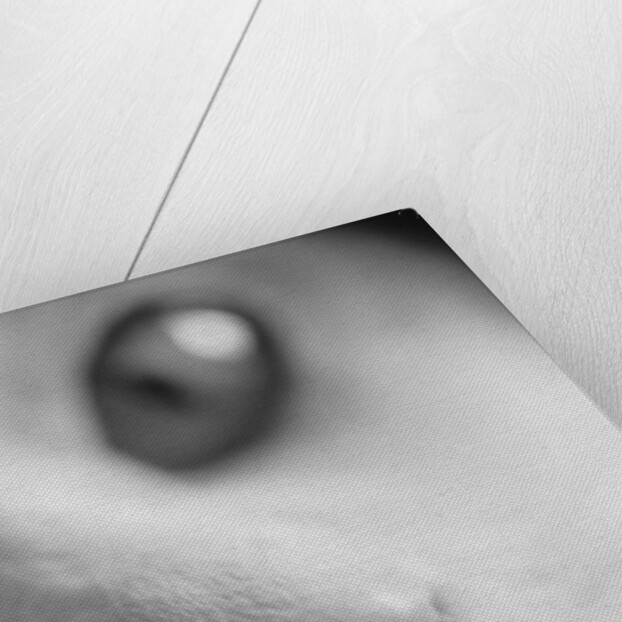Cat's Mouth by Anonymous