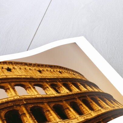 Colosseum in Italy by Anonymous