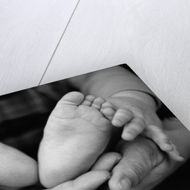 Parent and Baby's Hands and Feet by Anonymous
