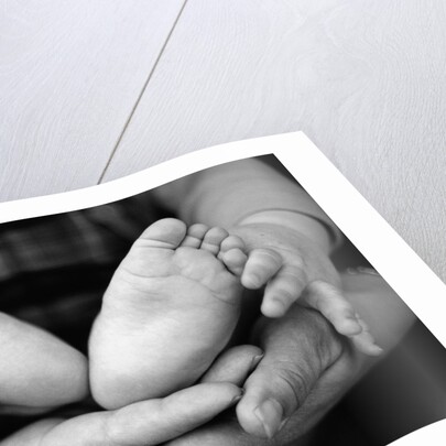 Parent and Baby's Hands and Feet by Anonymous