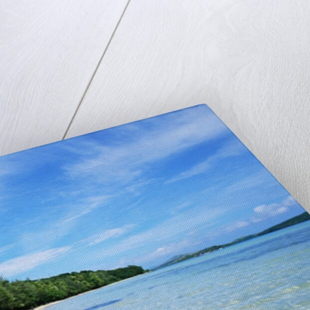 Tropical Coastline of Turtle Island by Anonymous
