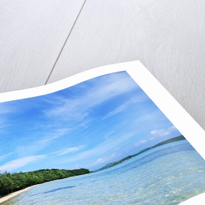 Tropical Coastline of Turtle Island by Anonymous