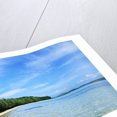 Tropical Coastline of Turtle Island by Corbis