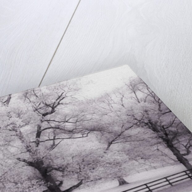 Trees and Fence in Snowy Field by Anonymous