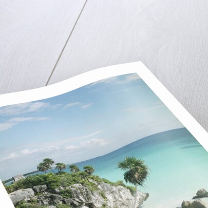 Craggy Ocean Coastline by Anonymous
