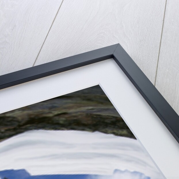 Skier Performing Jump by Anonymous