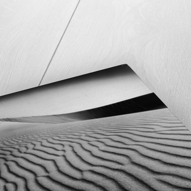Nevada Desert Dunes by Anonymous
