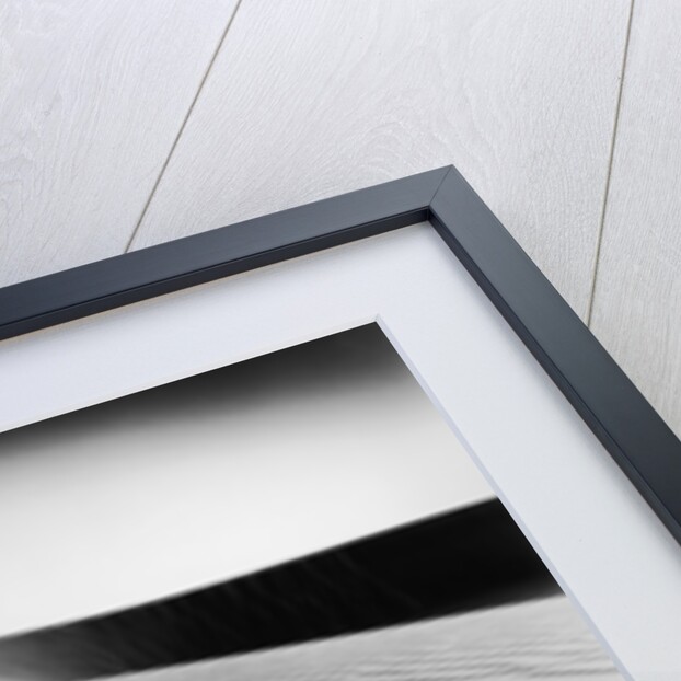 Nevada Desert Dunes by Anonymous