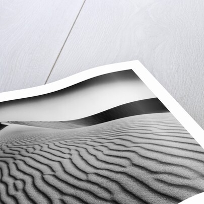 Nevada Desert Dunes by Anonymous