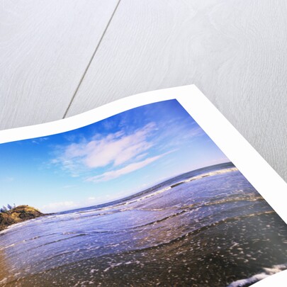 Cape Disappointment by Anonymous