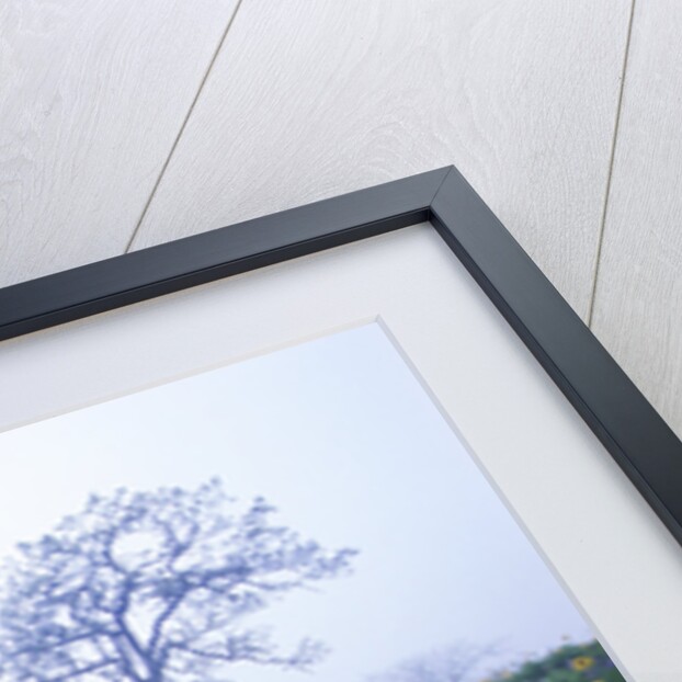 Oak Trees and Flowers in Meadow by Anonymous