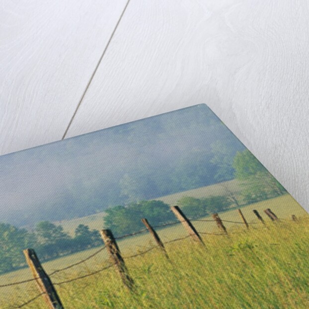 Rural Fence by Anonymous