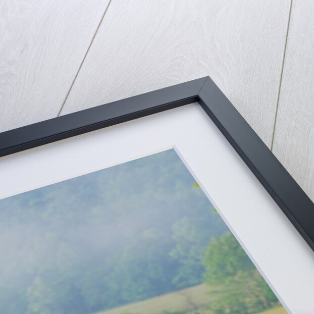 Rural Fence by Anonymous