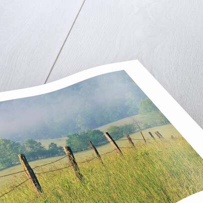 Rural Fence by Anonymous