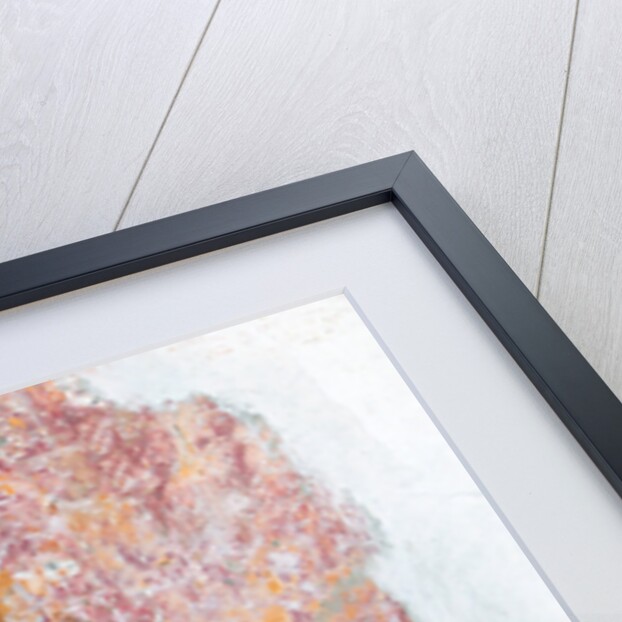 Ladder Against Wall by Anonymous